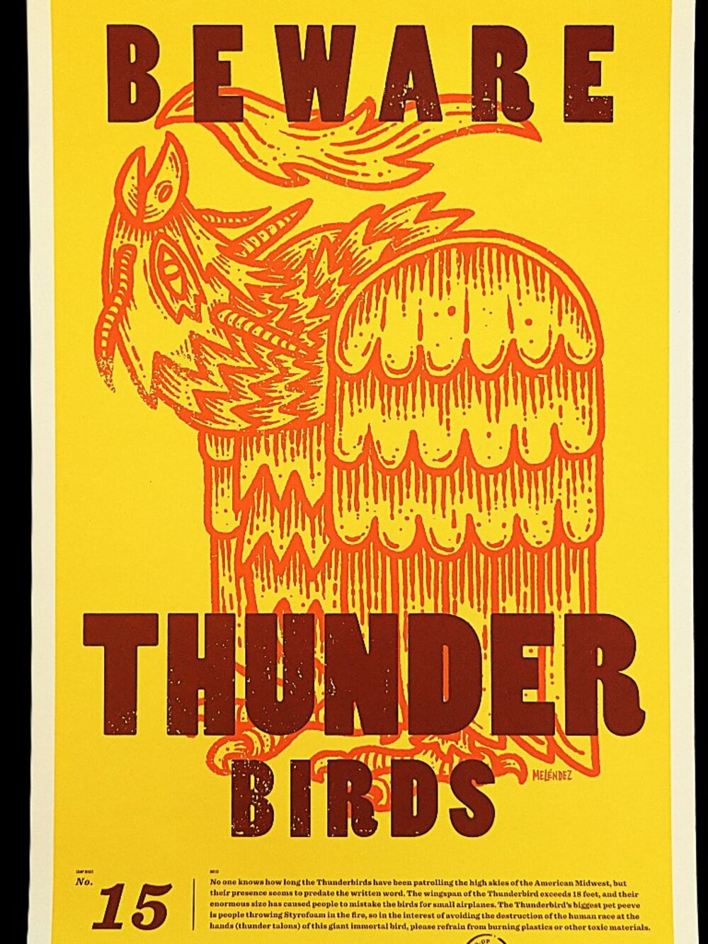 REI Co-op Poster 11x17 Thunderbirds